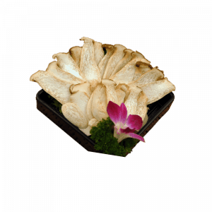 一碟一味 0000 杏鲍菇