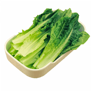 一碟一味 外卖火锅 0008 油麦菜