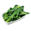 Spinach (One Portion)