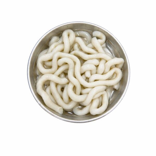 fish noodle