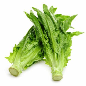 leaf lettuce