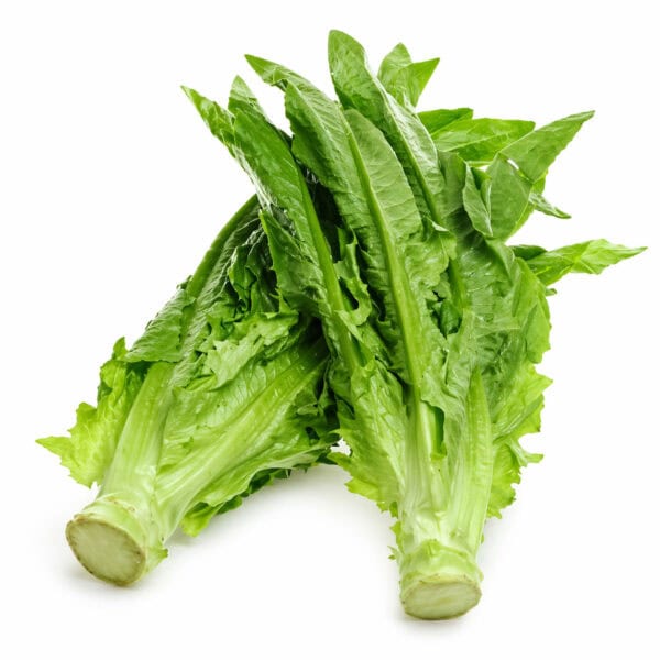 leaf lettuce