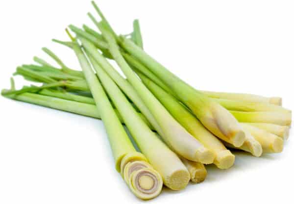lemongrass