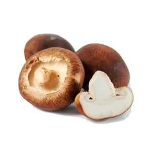 mushroom shitake