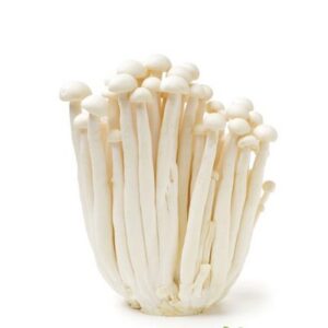 mushroom snow white