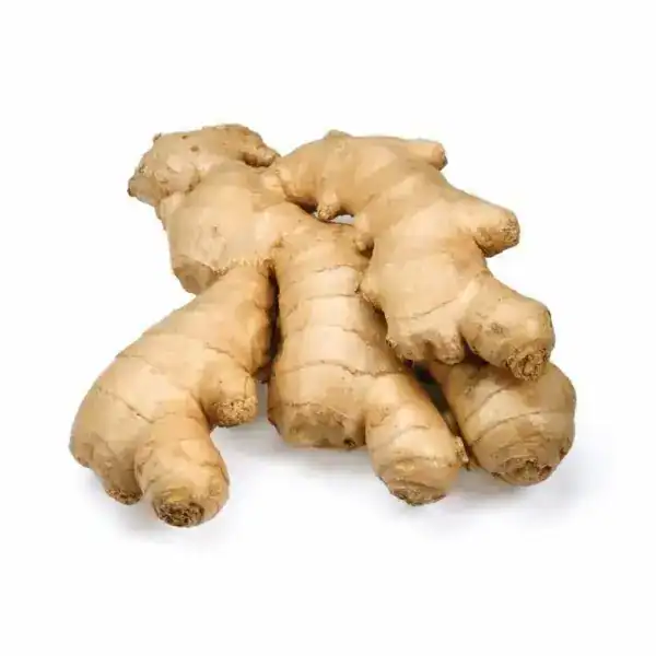 ginger