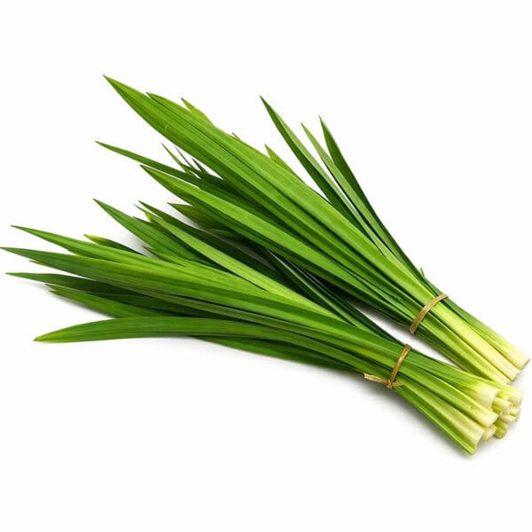 pandan leaf