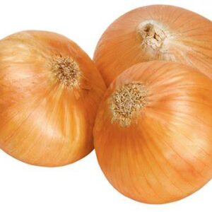 onion yellow
