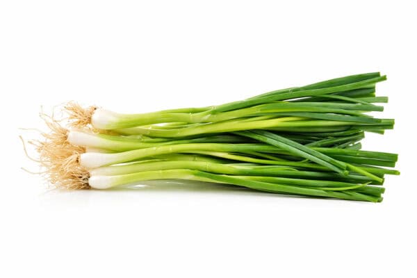 spring onion