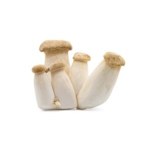 king oyster mushroom