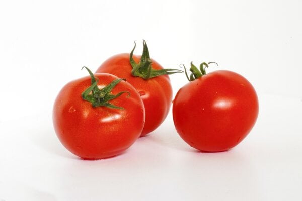 tomato