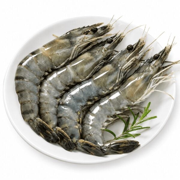 Tiger prawn
