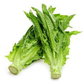 leaf lettuce