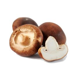 mushroom shitake