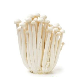 mushroom snow white