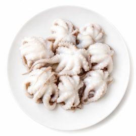 octopus