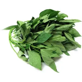 sweet potato leaf