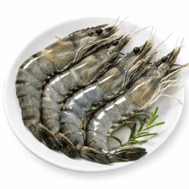 Tiger prawn